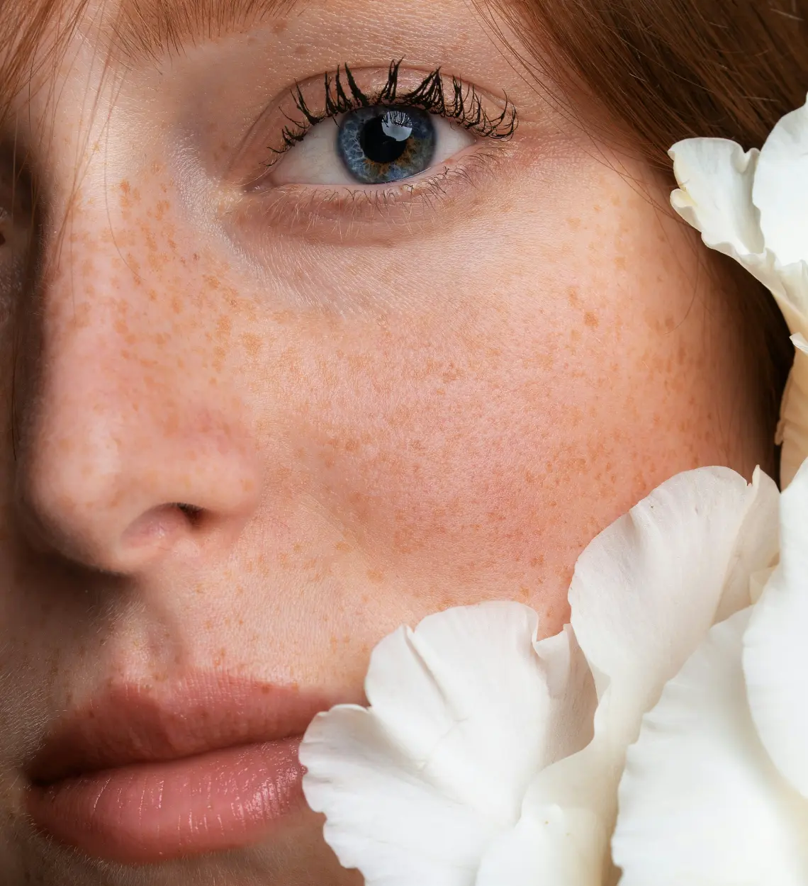 small-business-women-in-salon-and-success-in-hair-salon-startup-partnership-growth-development-and-vision-hairdresser-business-owner-partners-or-friends-working-together-in-hair-care-team-in-shop